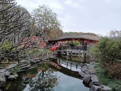 -顺峰山公园