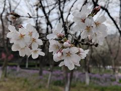 -白塘生态植物园