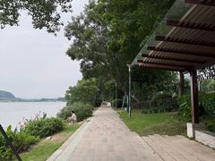 -光明港公园