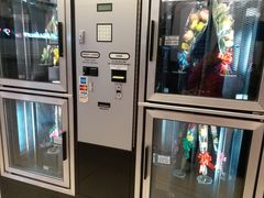 -约翰·菲茨杰拉德·肯尼迪国际机场