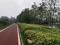 -夏河溪乡野公园