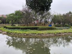 -映月湖公园