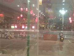 -大清花饺子(山庄店)