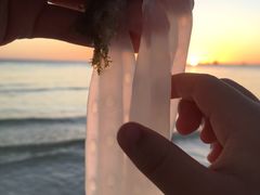 -白沙滩