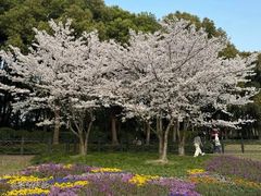 -黄兴公园
