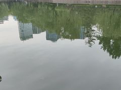 -团结湖公园