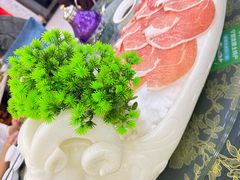 -老毛手抓·盐池滩羊非遗手抓(宁夏总店)