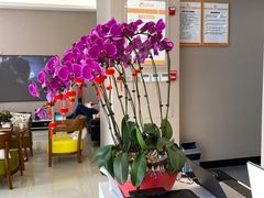 -土豆口腔(凤凰北总店)