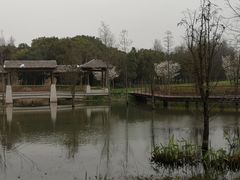 -同里国家湿地公园