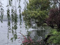 -浙江西子宾馆·牡丹厅