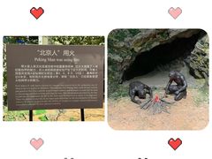 -北京周口店北京人遗址博物馆