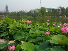 -西海子公园