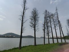 -顺峰山公园