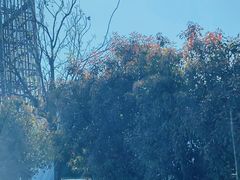 -杭州半山国家森林公园