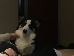 -大唐盲人按摩中心(怀宁路新粮仓店)