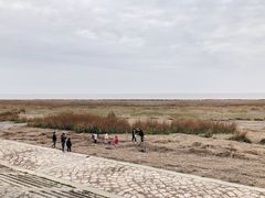 -南汇嘴观海公园