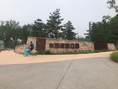 -东郊湿地公园