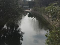 -兰溪青年公园
