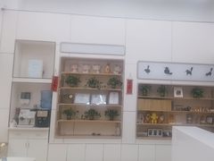 -凯瑞希宠物医院·狂犬免疫·微创·皮肤科