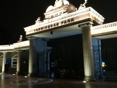-燕鸣岛