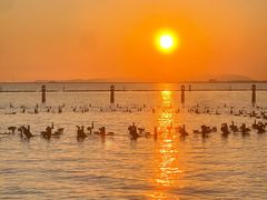 -苏州东太湖生态园