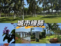 -万绿园