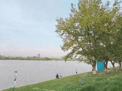 -灞河西岸滨河公园