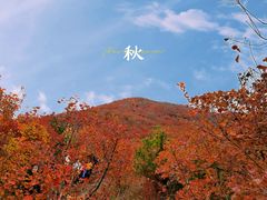 -周口店坡峰岭风景区