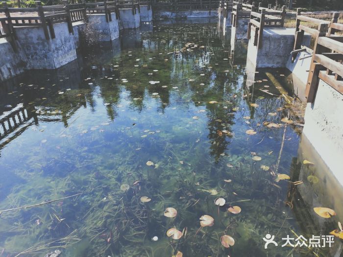 郑东新区湿地公园图片