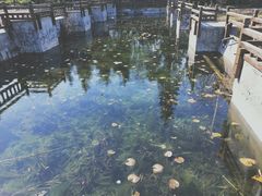 -郑东新区湿地公园