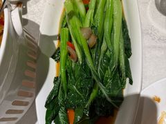 -金美华轩(东方路齐鲁店)