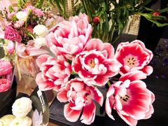 -PlantsEatery·植物食堂(REX春熙店)