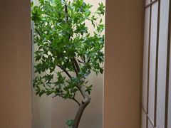 -宫七SPA·高端Massage(浦东大道店)