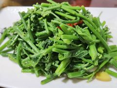 -将就吃农家特色土菜馆