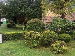 -大连金石滩绿发温泉假日酒店
