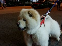 android_upload_pic-品秀量贩式KTV(布吉店)