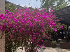 -月圆霖特色农家乐