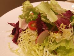 -春晖园度假酒店温泉