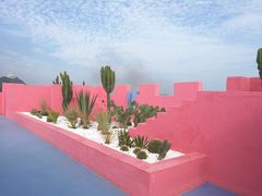 -漳州滨海火山岛自然生态风景区