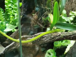 -酷嗒动物文化乐园(cutezoo西溪乐天城店)