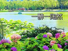 -陶然亭公园