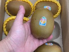 -盒马X会员店(上海森兰商都店)