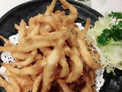 -裕.鹅庄