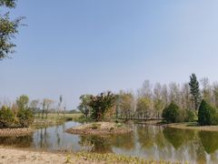 -野鸭湖国家湿地公园