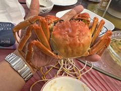 -小陆莲花蟹园农家乐(莲花岛店)