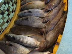 -合家小菜餐馆(新诚花苑店)