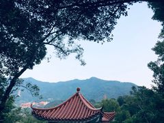 -深圳仙湖植物园