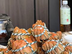 -蟹天蟹地农家菜·阳澄湖大闸蟹(浅水湾店)