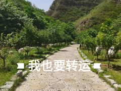 -十渡东湖港风景区