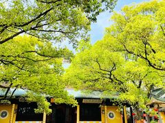 -无锡梅园公园